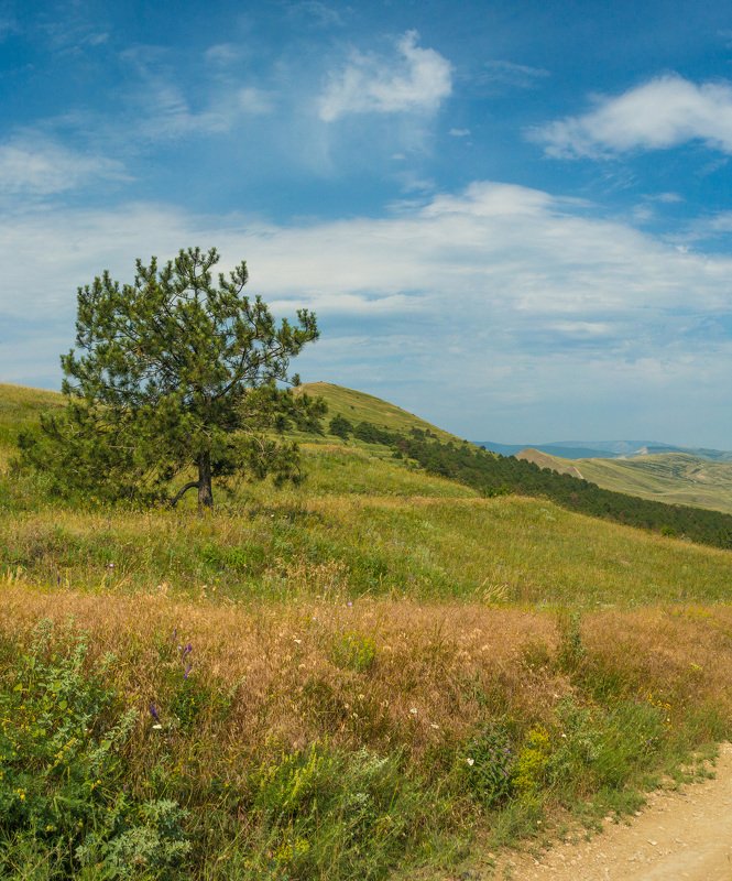 крым Коктебельские панорамыphoto preview