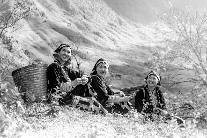 On spring hillphoto preview