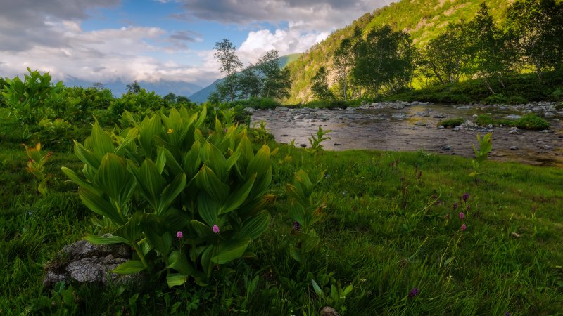 лето, вечер, свежесть Середина летаphoto preview