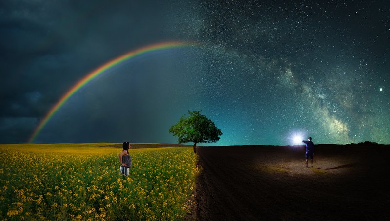 ceclii, nikon d3400 photo preview