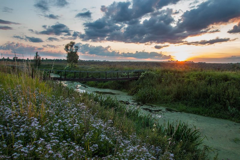 Мостик на закатеphoto preview