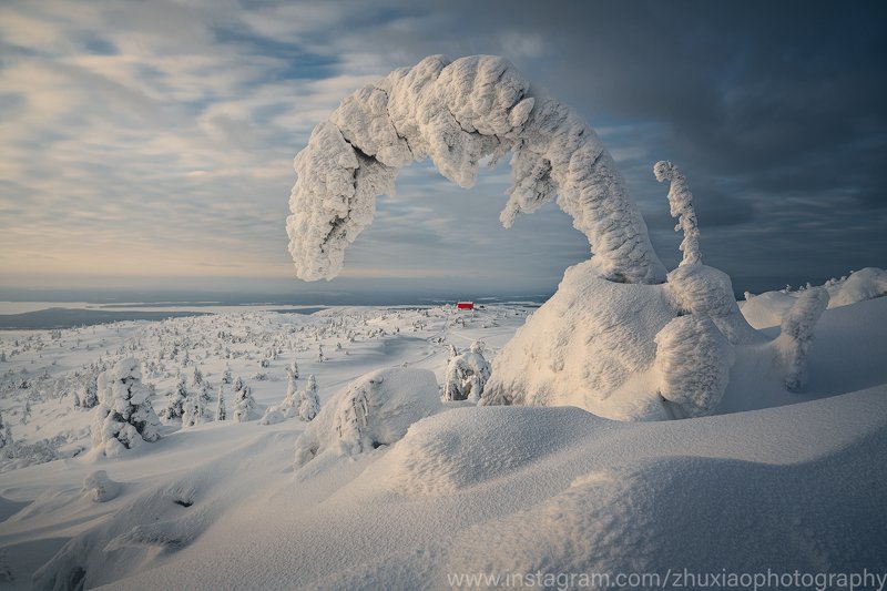 зима Ледяной и снежный мирphoto preview