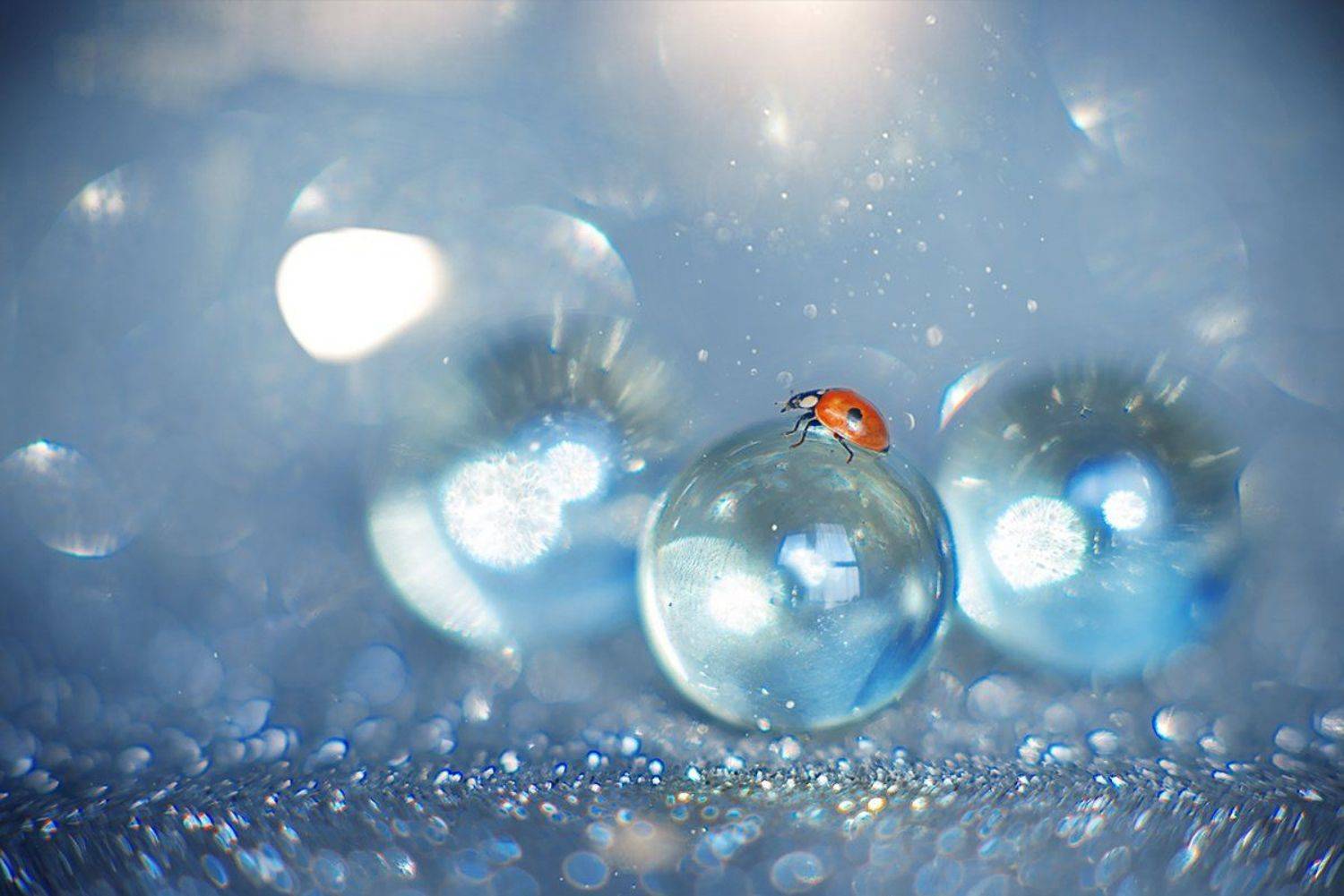 , Юлия Таратынова