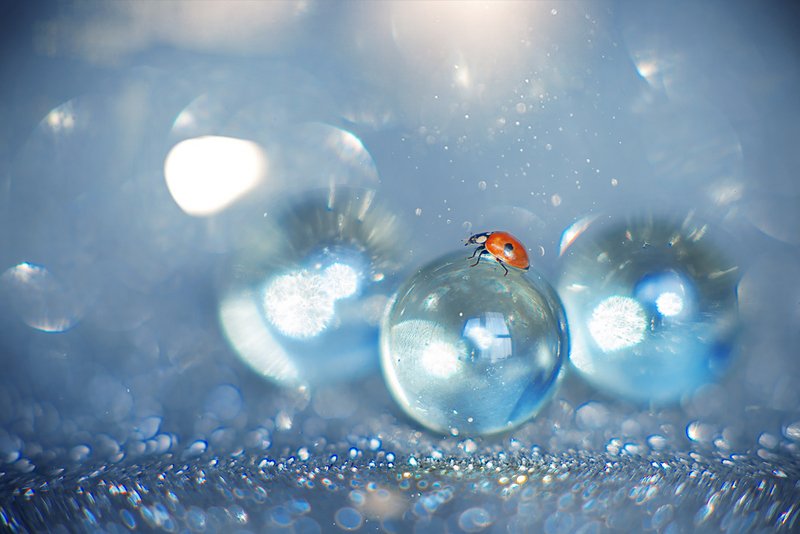 В мире шаровphoto preview