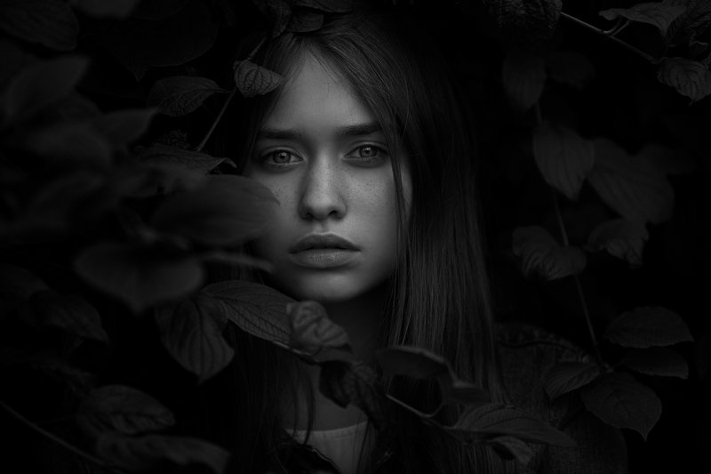 портрет, девушка, чб ***photo preview