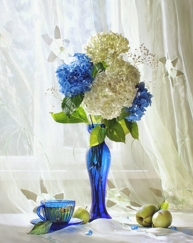 натюрморт, цветы, гортензия, окно, свет, синий, яблоко, букет, ваза, утро, лето Летнее утроphoto preview
