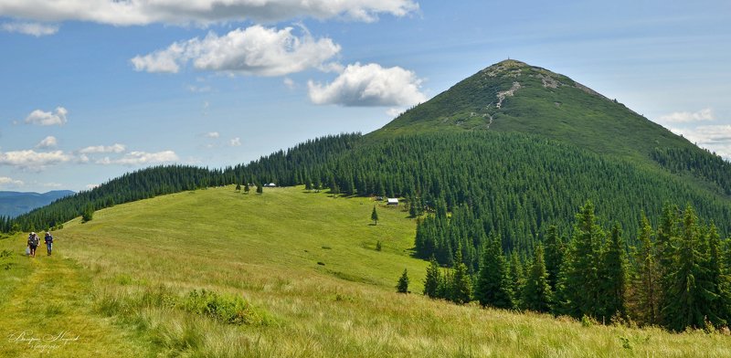 карпаты, лето, горы, хомяк, синяк, малый горган, тропа, вершина Карпаты. Восточные Горганыphoto preview