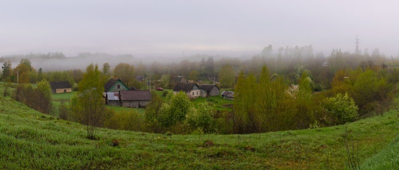 псков, деревня, коломно, туман, природа д. Коломноphoto preview