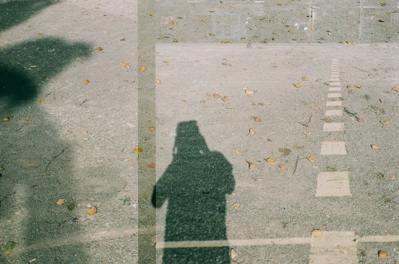 The Gravity Chaosphoto preview