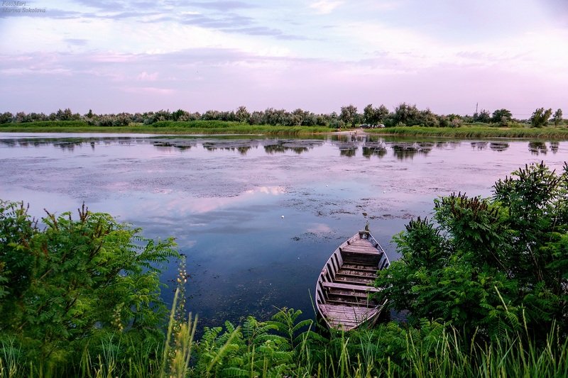 Лето.photo preview