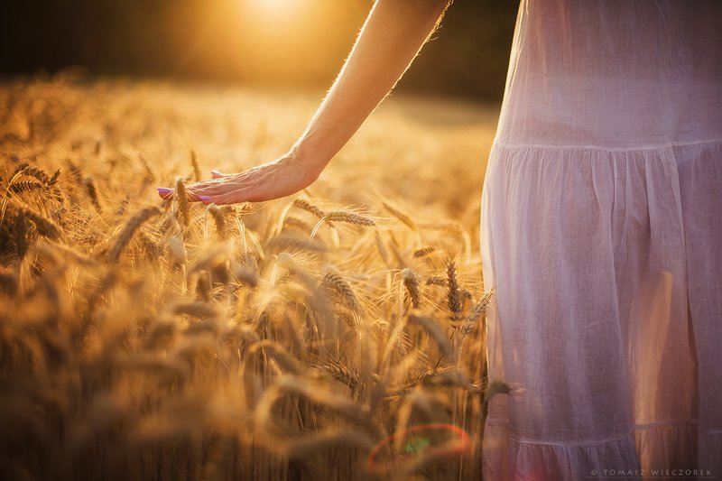 girl, woman, light, sunset, sunrise, colours, beautiful, touch, hand, grain, mood, sexi, happy, frient, portrait, body, legs Touchphoto preview