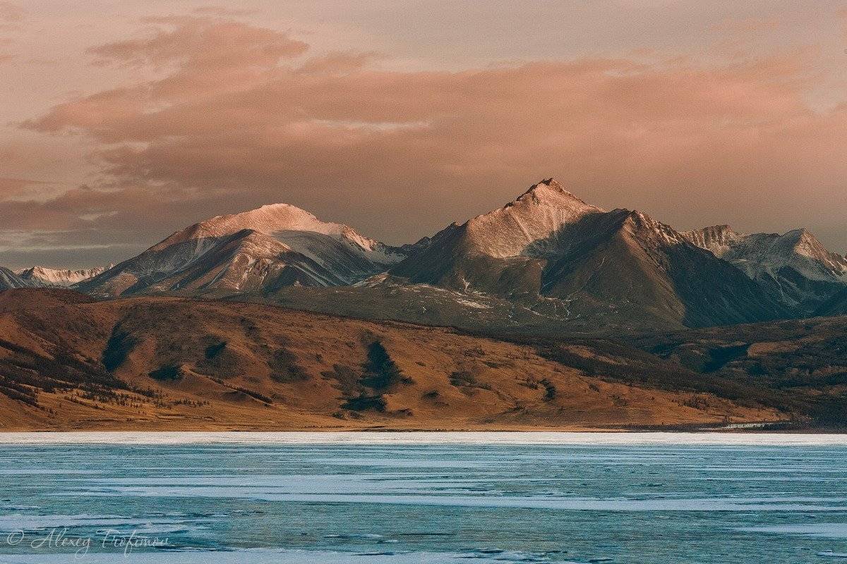 монголия, Алексей Трофимов