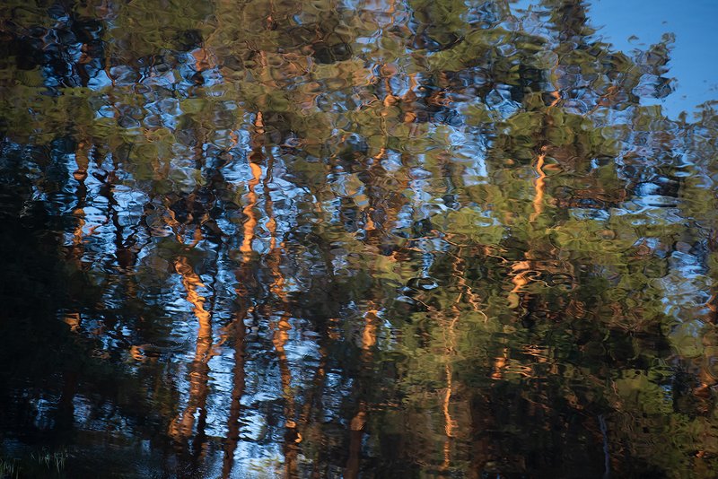 отражения, сосны, река, мещёра, рязанская область Акварели Мещёрской рекиphoto preview