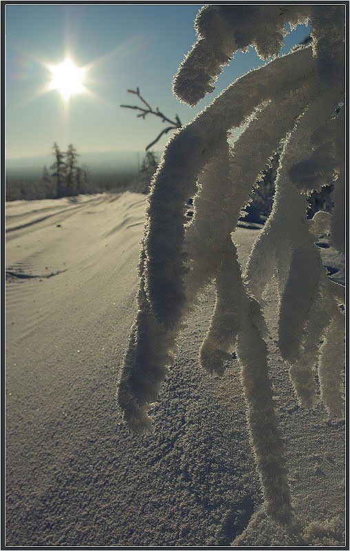 иней Инейphoto preview