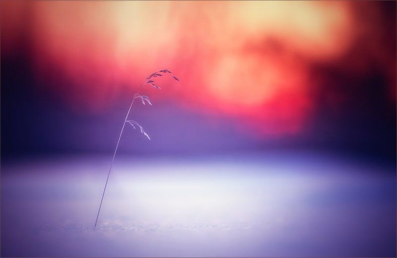 Волшебство одиночестваphoto preview