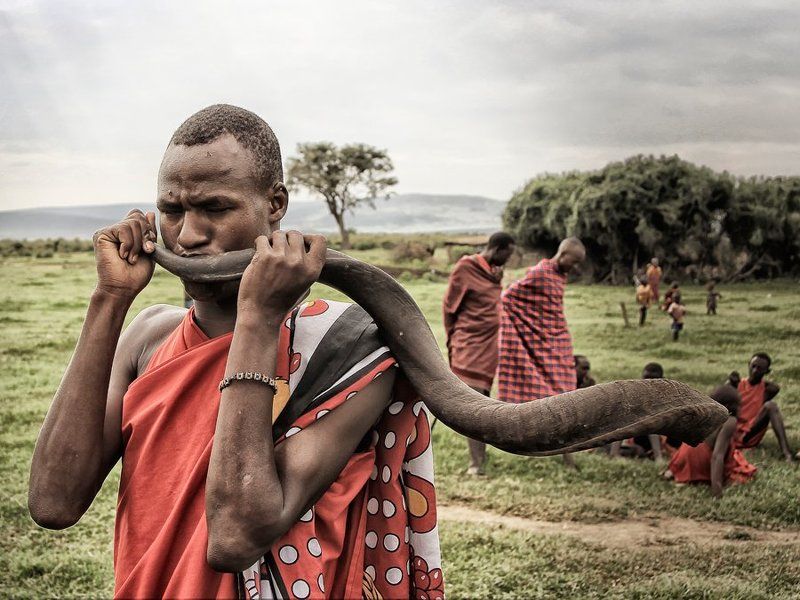 кения, африка, масаи, мара, рог, куду, масай \