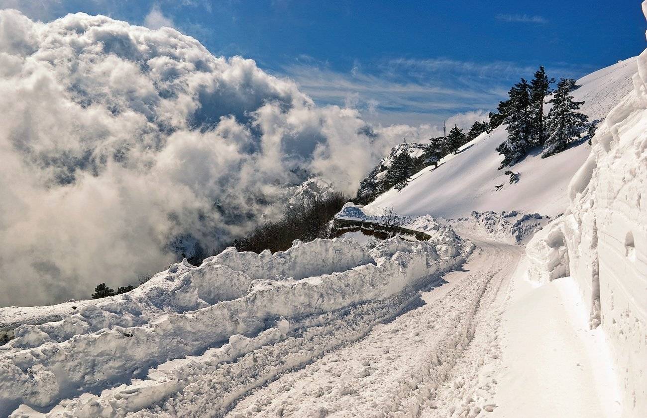 , Игорь Мелекесцев