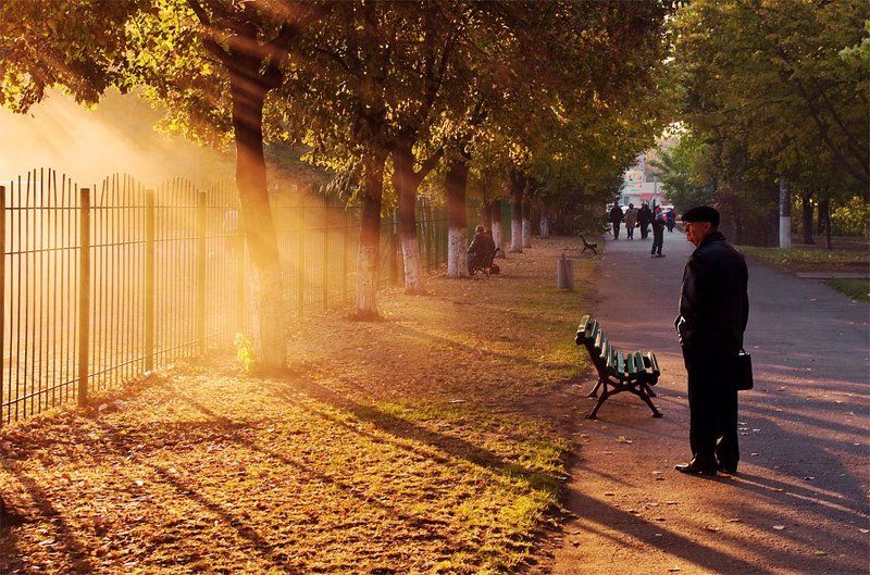 одесса, парк, свет, закат Жизнь продолжаетсяphoto preview