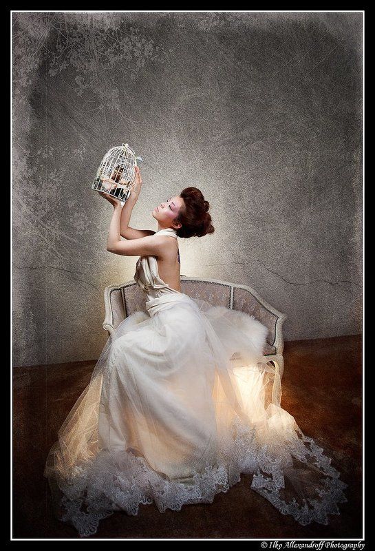 cage, bird, japanese, softbox, strobist In a Cagephoto preview