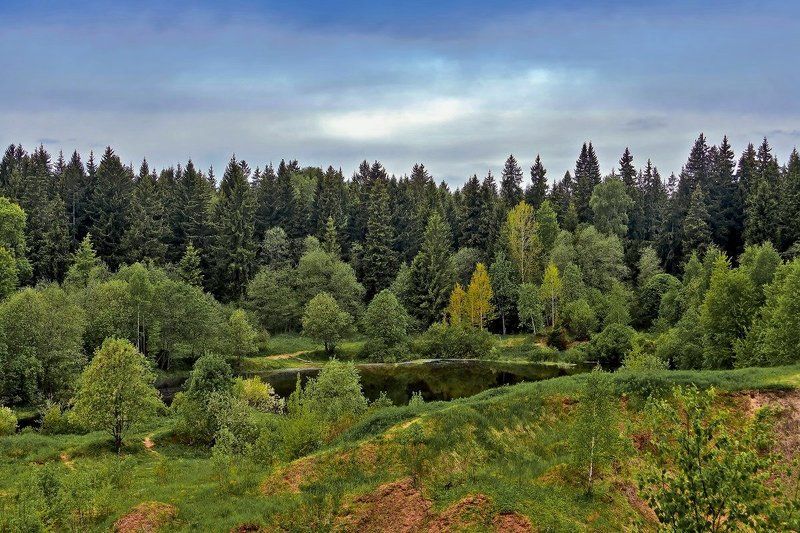 Лесное озерцоphoto preview