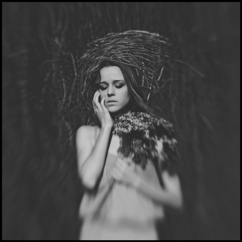 ... ...photo preview