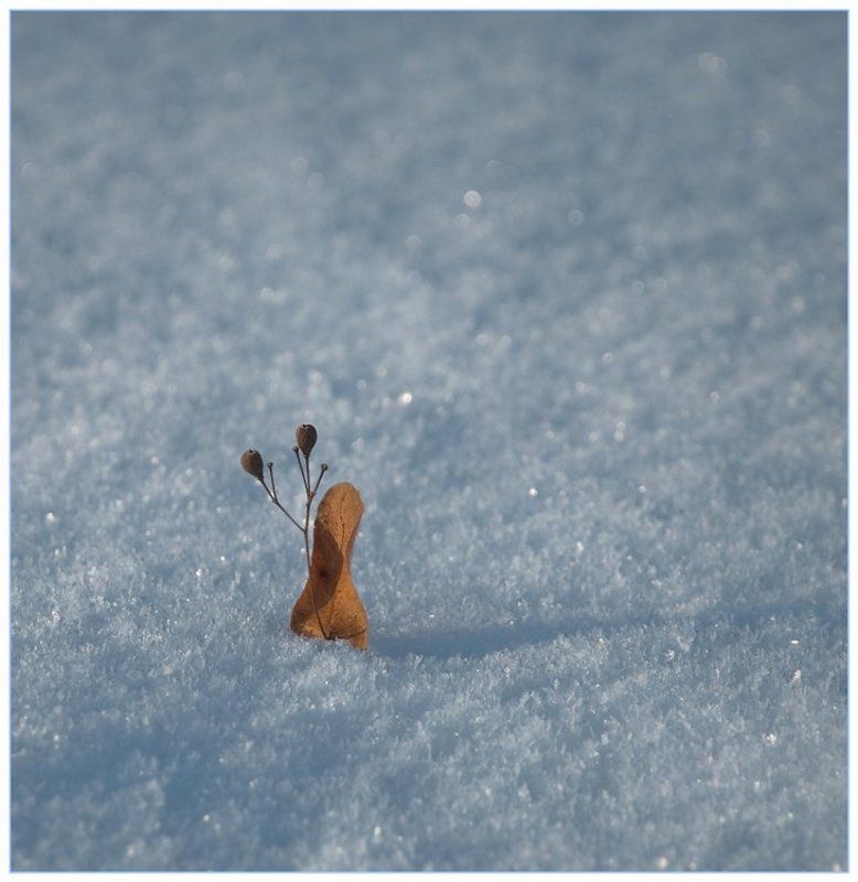 снег, lovestory Love storyphoto preview