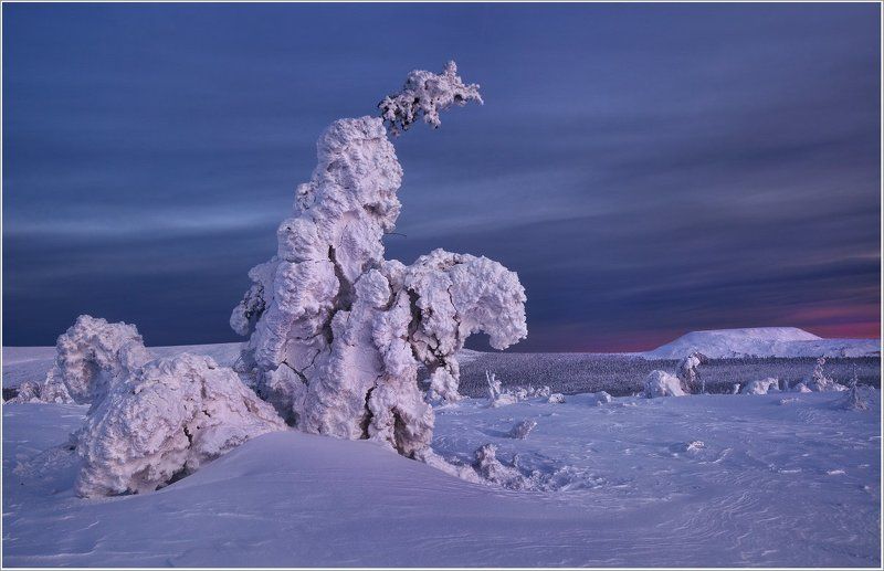 пейзаж, природа, урал, зима, горы, снег, гух, призраки Призраки зимыphoto preview