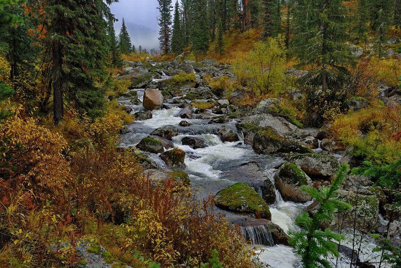 Хроника одной реки 1photo preview