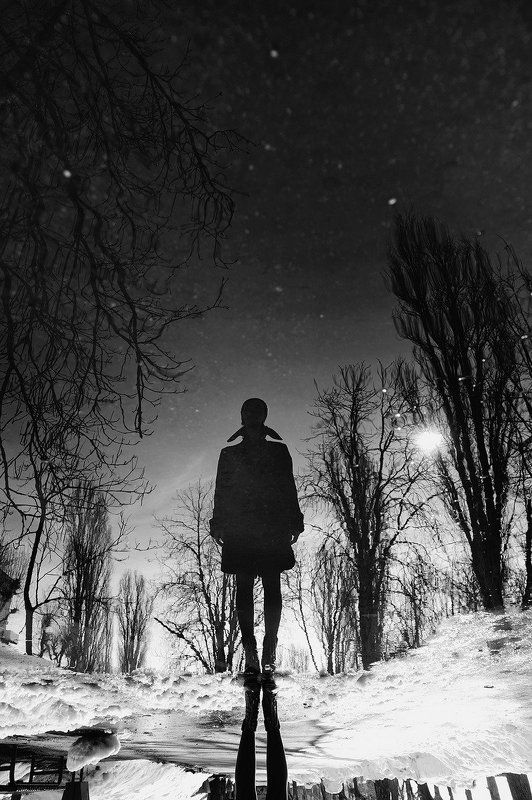 Spring Reflectionphoto preview