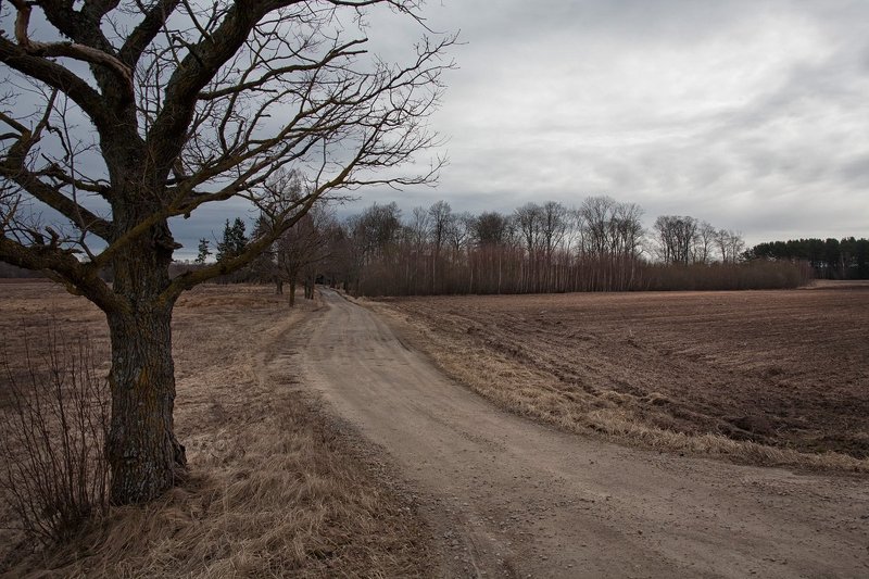 в ожидание пробужденияphoto preview