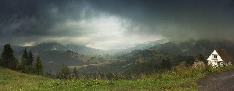 карпаты, лето, июль Дождь на каменкеphoto preview