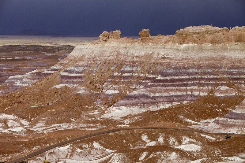 лес, камень, аризона Petrified woodphoto preview