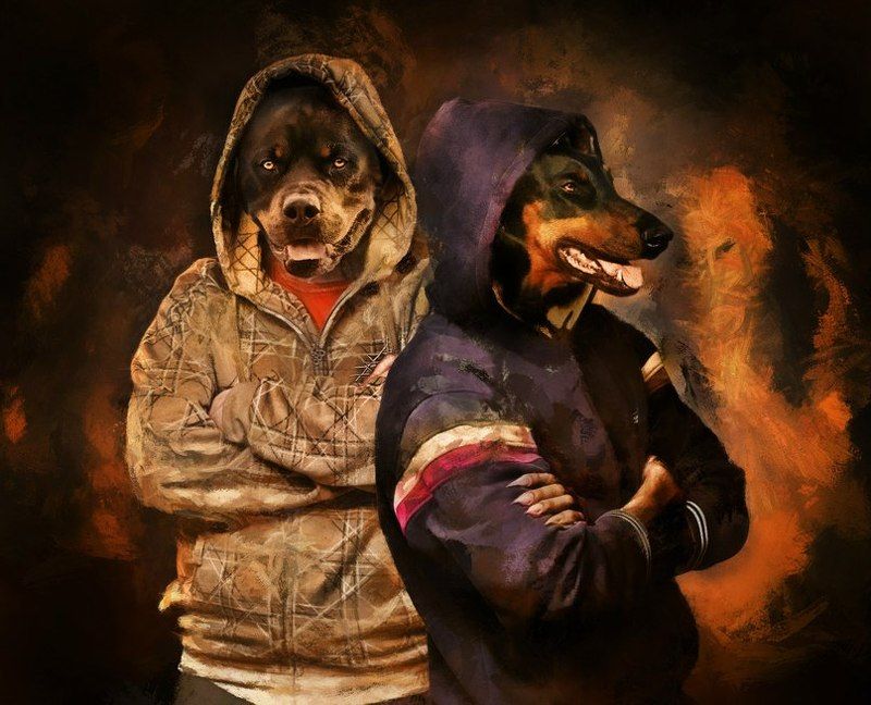 Керберphoto preview