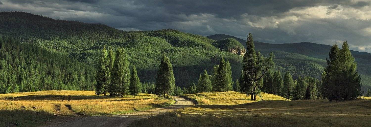 алтай, горный алтай, улаганское нагорье, Галина Хвостенко