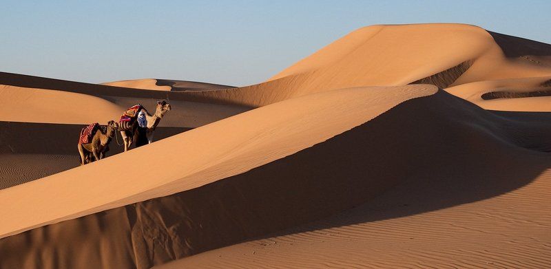 караван, верблюд, туарег Местныеphoto preview