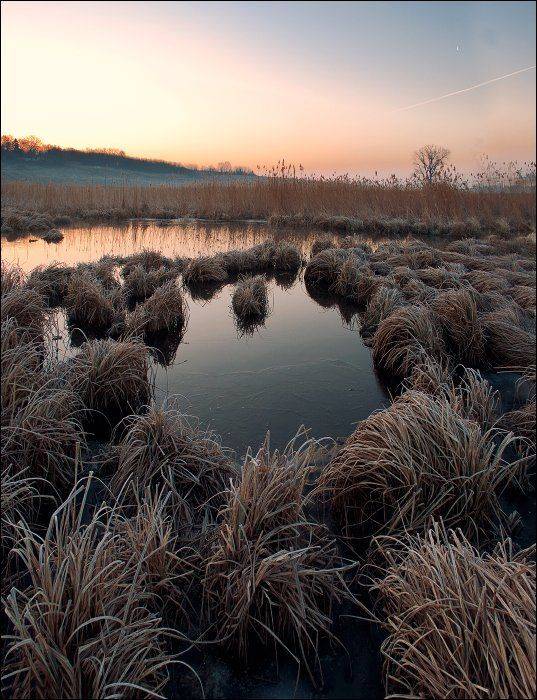 почти весна. Автор: Полищук И.В. , Полищук И.В.