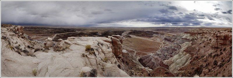 окаменевший, лес, аризона Перед грозой....photo preview