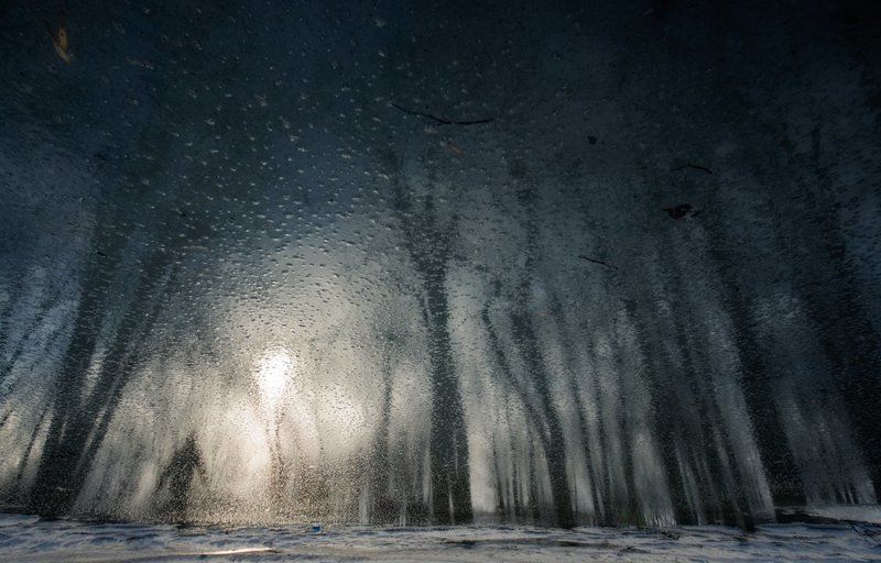 Весенний бегphoto preview