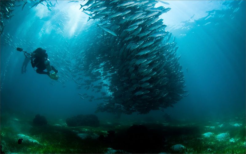 кыно Карусель фото превью