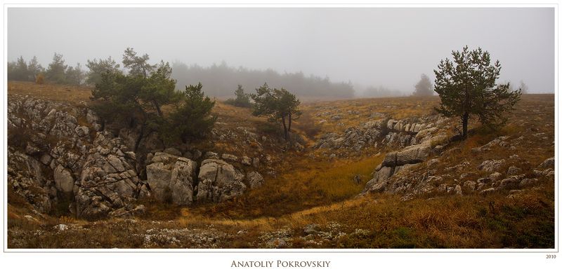 крым, горы, демерджи, туман, осень, сосна, анатолий покровский Лето растаяло в необозримости осенних туманов. Только увядшая трава хранит память об ушедшем Солнце. фото превью