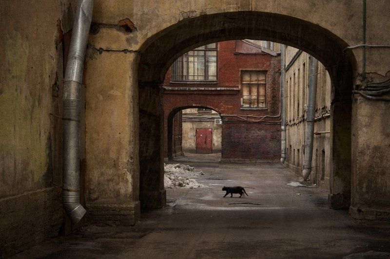 Плохая приметаphoto preview