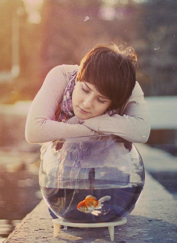 море история о маленьком золотом другеphoto preview