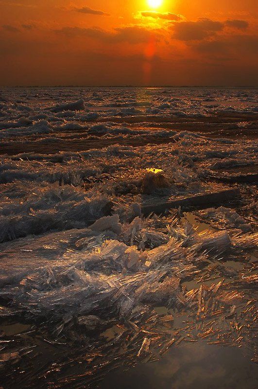 скороphoto preview