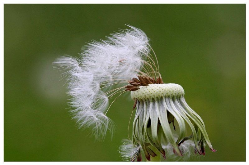 Но ветер!!photo preview