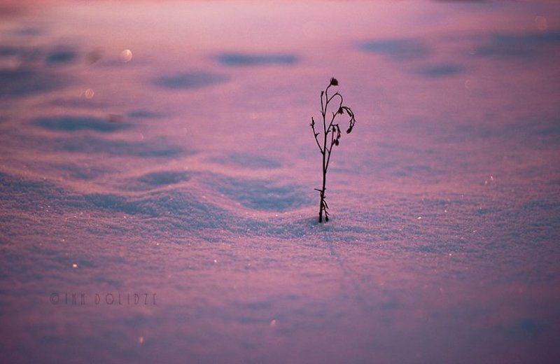 my best photosphoto preview