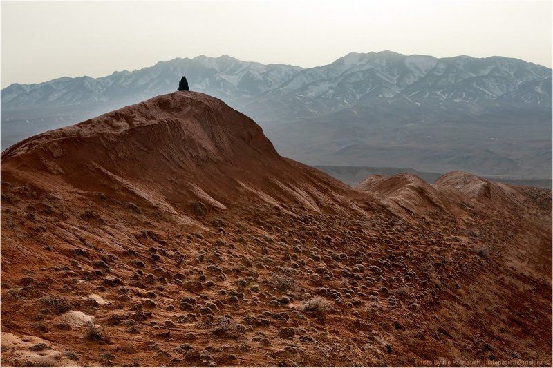 almaty, region;, bagoty;, kazakhstan;, march;, spring;, photo-safari;, алматинская, область;, богуты;, весна;, казахстан;, март;, фотосафари Богуты, март 2012 г.photo preview