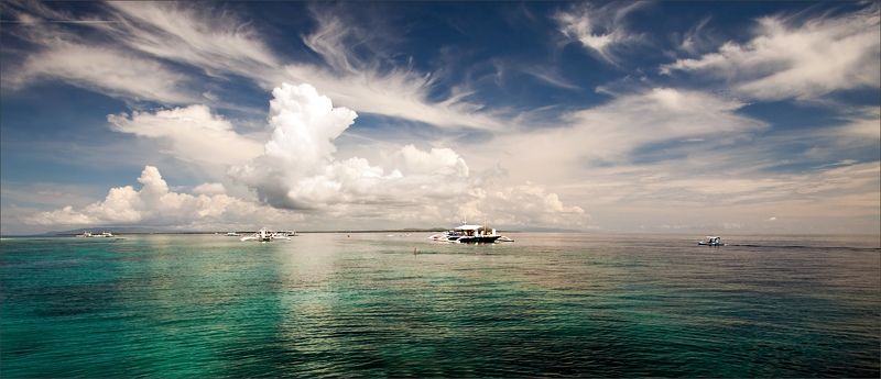 улетят О птицахphoto preview