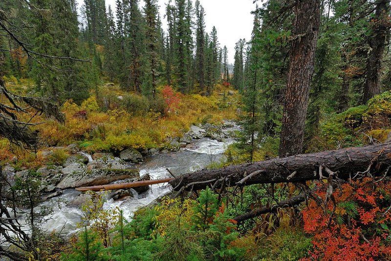 Хроника одной реки 2.photo preview