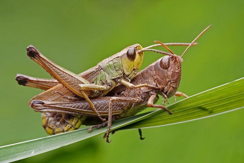 prawa natury...photo preview