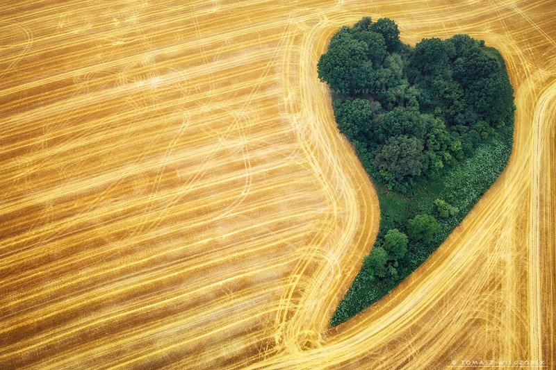 fields, drone, dji, air, poland, polish, landscape, sunrise, sunset, colours, summer, awesome, amazing, adventure, travel, beautiful, morning, heart, love Love is in the airphoto preview